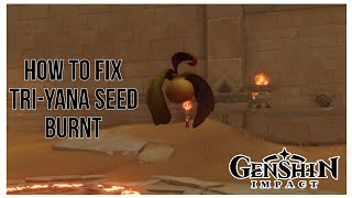 How to fix Triyana Seed Burnt Lost In The Sands  Continue Exploring Quest Genshin Impact [upl. by Fraser]