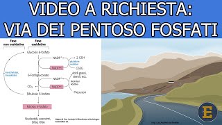 35 Video a richiesta la via del pentosio fosfato [upl. by Conney]