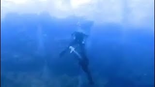 🇪🇬 🦈SharkAttack on diver  Attaque de requin sur un plongeur  Mer Rouge  Egypte  Octobre 2018 [upl. by Elbys]