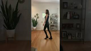 Blurred Lines Line Dance Tutorial Beginner [upl. by Geminius]