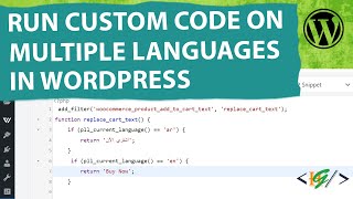 How to Apply Custom Code on Multiple  Different Languages in WordPress  Polylang  Custom Snippet [upl. by Eri]