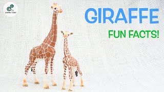 GIRAFFE FACTS  Fun amp Educational  For Kids  Best Animal Facts  From Learning Toolkit [upl. by Craggy]