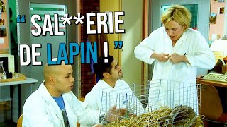 Ils donnent de la morphine à un lapin 😱 [upl. by Bradman]