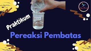 PRAKTIKUM PEREAKSI PEMBATAS  Lelys Channel  Pembelajaran Ilmu Kimia SMA [upl. by Paulo]