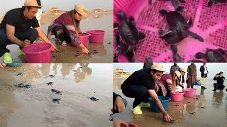 EXCLUSIVE  Bilawal Bhutto Zardari and Bakhtawar Bhutto Zardari releases 300 Baby Turtles in the Sea [upl. by Arytal]