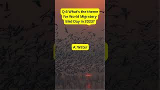 FAQS on World Migratory Birds Day 2023 [upl. by Eirrac]