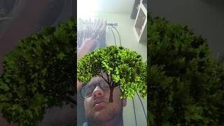 Samarth magic video tree coming [upl. by Abbie]