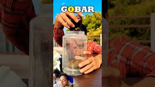 Gobar gas experiment crazyxyz science amazingfacts youtubeshorts chemistry jiya alvi [upl. by Ecam]