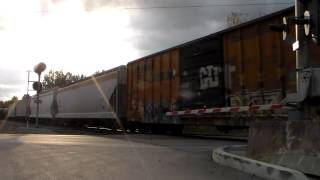 CSX Train At Columbia Station OH [upl. by Johnsten605]