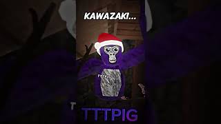 Meet The Squad… ​TTTPig OfficialMosa h4kpy TTTDawnos4rh gorillatag vr gtag edit [upl. by Essilem]