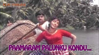 Paamaram Palunku Kondu HD  Thriveni Malayalam Movie Song  Prem Nazeer  Saradha  Sathyan [upl. by Coco949]