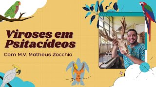 Viroses em Psitacídeos MV Matheus Zocchio [upl. by Nilrac]