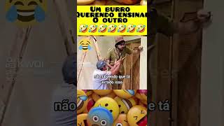 vamosrirqueavidaeboa humor comedia renatoaragao didi ostrapalhões [upl. by Frannie]