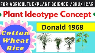 Plant Ideotypes  Ideotype Breeding  Ideal Plant Type [upl. by Yart]