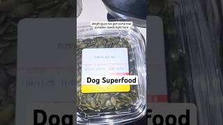 Dog superfood amp natural worm defense for raw feeders pumpkin seeds [upl. by Ennazzus332]