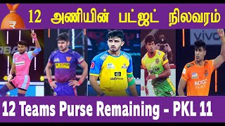 Pro Kabaddi  12 Team Purse  Auction Schedule amp Time  ஏலத்துக்கு 12 அணியிடம் எவ்வளவு பணம் உள்ளது [upl. by Clance]