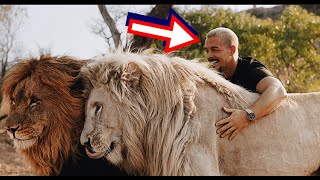 Un homme ukrainien a sauvé ce lion et ses petits Des années plus tard CECI s’est produit [upl. by Toomay]