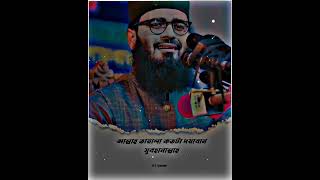 আসিফ হুজুরের অসাধারণ কিছু কথা🤍 Abrarul Haque Asif। abrarulhaqueasif youtubevideo youtube [upl. by Scevor]