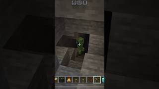 Going in zombies cage in mine craft game🤯 amazing 💀minecraftminecraftshorts shortvideo [upl. by Rocker]