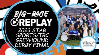 2023 Star SportsTRC Greyhound Derby Final  Gaytime Nemo  Greyhound Race Replays  2023 Big Finals [upl. by Shoemaker597]