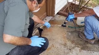 How To apply Termidor or Tauros To A Concrete slab  Part 3  Injecting Tauros into Driveway [upl. by Jessamyn]