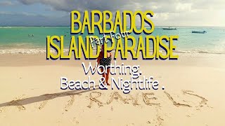 Episode 4 Day and Night life of Worthing Barbados [upl. by Lusty]