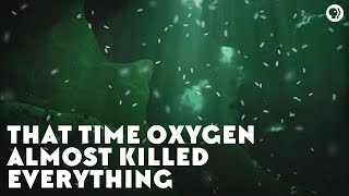 That Time Oxygen Almost Killed Everything [upl. by Ynnav]