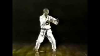 Tatsuo Suzuki  Rohai 鹭牌 kata [upl. by Eiramnna]