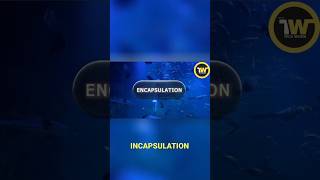 C Encapsulation The 60 Second Guide [upl. by Iamhaj688]