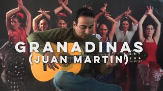 Granadinas Juan Martin [upl. by Gerek]