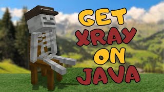 How to Get an Xray on Minecraft Java  Minecraft Tutorial 2024 [upl. by Wichman]