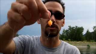 Tired of fishing for salmon steelhead and trout with roe Try this [upl. by Hakaber]