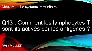 Chap 4  Le système immunitaire  Q13  Comment les lymphocytes T sont activés par les antigènes [upl. by Erv]