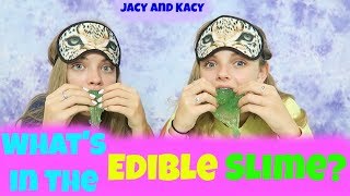 Whats In the Edible Slime Challenge  Jacy and Kacy [upl. by Roderica]