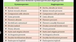 Difference between gymnosperm and angiosperm plants [upl. by Dwan]