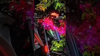 song tamil love King riders soper bikes riders RiderKingxe3hb [upl. by Curt]