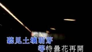 KTV 王菲  彼岸花 Faye Wong  Flower of Paradise [upl. by Nodla]