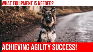 Train Your Aussie Shepherd for Agility Essential Equipment for Success [upl. by Daph]