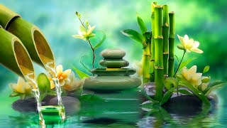 Beautiful Relaxing Music 🌿 Water Sounds Deep Sleeping Music Meditation Music Relaxing Piano [upl. by Elleirda]