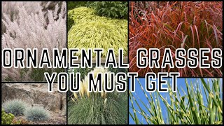 Ornamental Grasses  The Dirt  Better Homes amp Gardens [upl. by Evalyn]