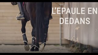 TUTO EQUITATION3 🐴  Lépaule en dedans [upl. by Yelsnik779]