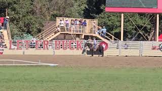 Team Ropin Fri Perf  Pendleton Roundup 2024  9132024 [upl. by Assirim503]