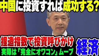 必死に投資を呼びかける中国、ついに嘘の統計まで使い始めた模様【ゆっくり解説】 [upl. by Ursel]