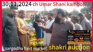 30112024 ch Umar Shani kamboh is engaged in kinnow auction  known as ch Tahir kombow amp sons [upl. by Amadeo330]