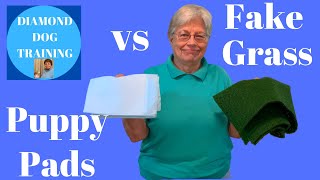 Puppy Pads vs Fake Grass For Indoor Potty Training Which Is Best [upl. by Nino]