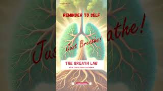 The Breath Lab  the membership [upl. by Nnaeirual]