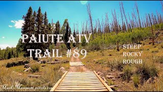 Paiute ATV Trail 89 Tour Know Before You Go Full Trail 50quot Trail Steep Rocky Rough [upl. by Moht]