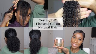 TESTING DIY FLAXSEED GEL  Natural Hair  TheLifestyleLuxe [upl. by Eadwine]