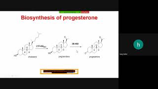 Steroid hormones Lec 8 part 1 [upl. by Milone]