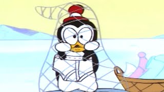 Picolino em Português 🐧Direto Para Montezooma 🐧Episódio Completo de Picolino  Desenhos Animados [upl. by Ertnom]